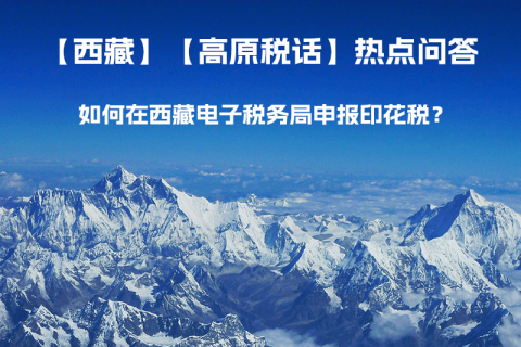 如何在西藏自治區(qū)電子稅務(wù)局申報(bào)印花稅？