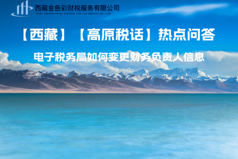 西藏電子稅務(wù)局如何變更財(cái)務(wù)負(fù)責(zé)人信息？